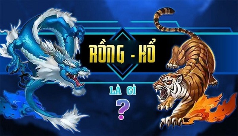 rong ho fb88 4 Các mẹo chơi Rồng Hổ Fb88
