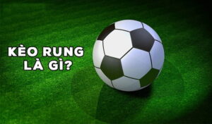 Cách đọc kèo rung là gì?